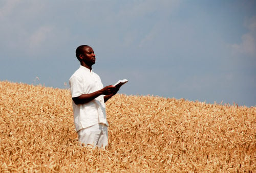 African man holding a Bible and standing in a field of wheat asking for a Sabbath blessing from God