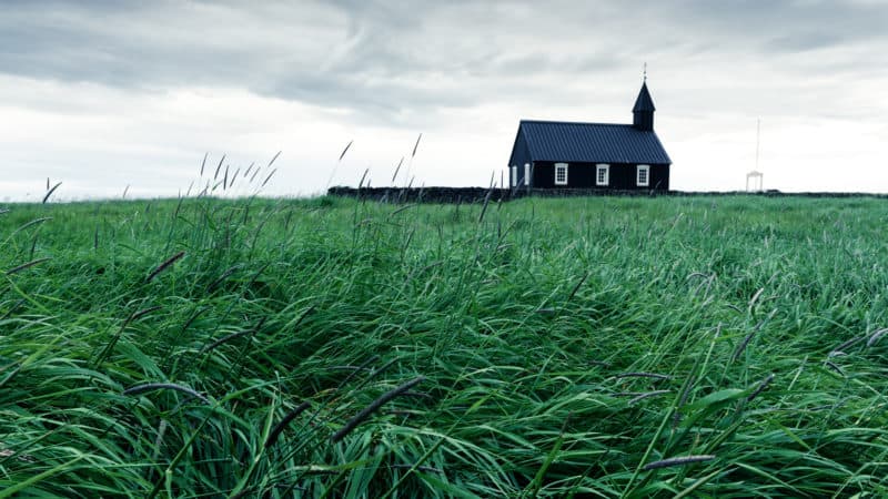 Iglesia y hierba verde