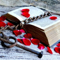 an open bible with red rose petals scattered around and a heavy chain in the middle signifying that religious freedom brings liberty