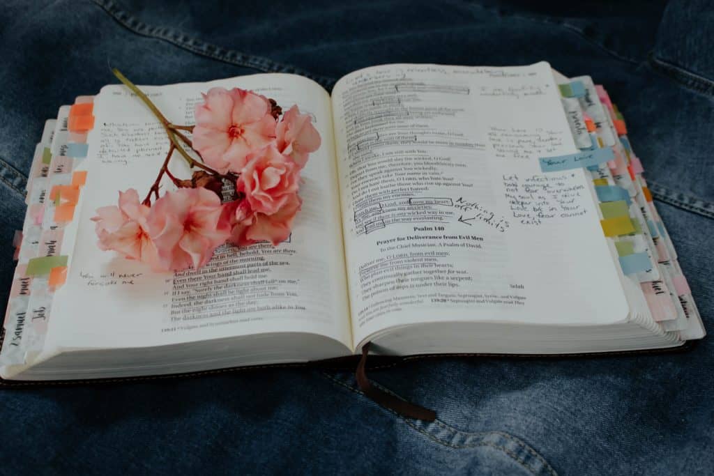 open Bible with pink flowers on top inviting you to study the bible