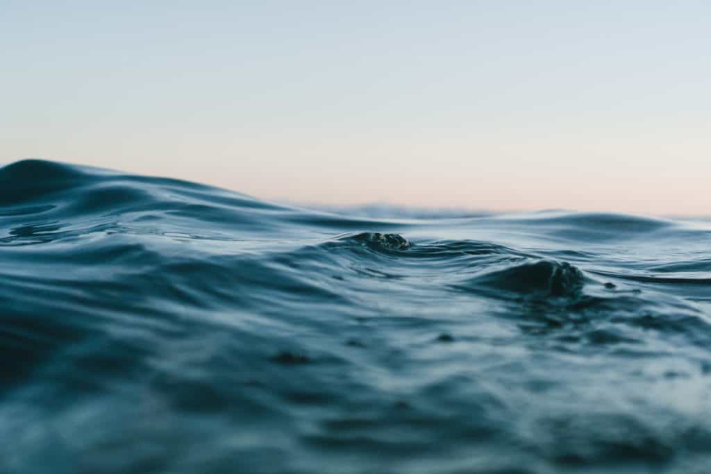 Sea with small waves, no land in sight.