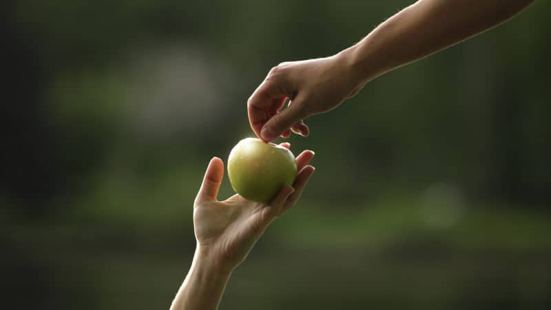 a woman's hand passing a green apple upwards to a man's hand as a symbol of sin coming to the earth