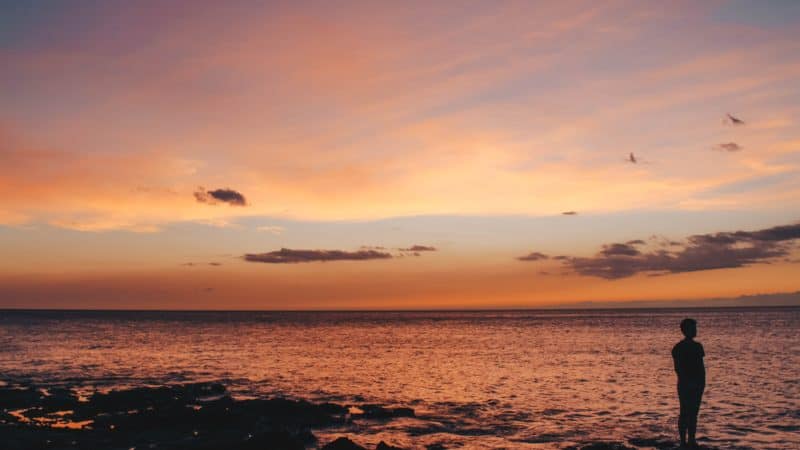 A silhouette of a man looking out over the ocean at sunset as we learn more about the nature of humanity and how God saves us