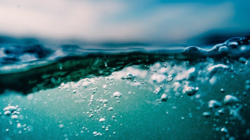 Close up photo of a body of water showing both above and below the water.