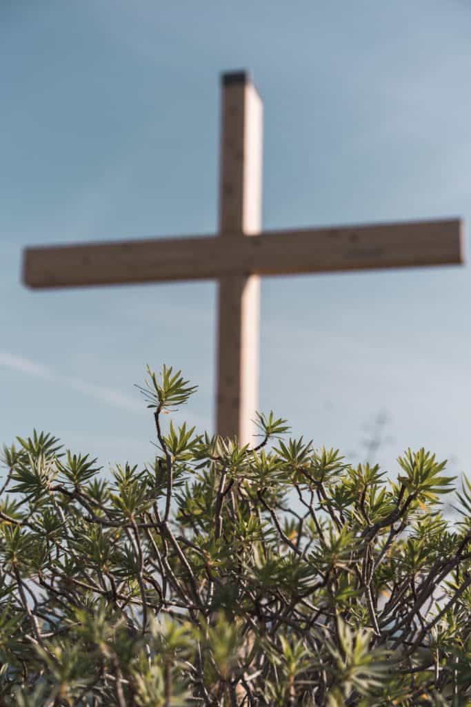 The cross in the background with a bush in the foreground as we study the pain and suffering Jesus bore on our behalf