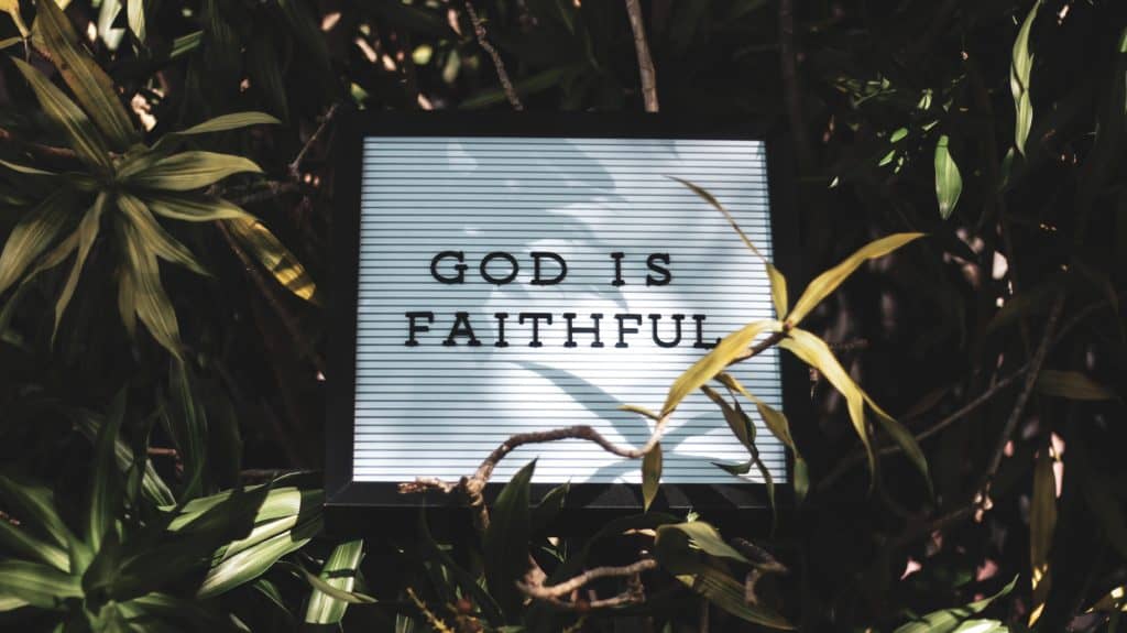 a white sign with black writing that says God is Faithful and surrounded by green plants