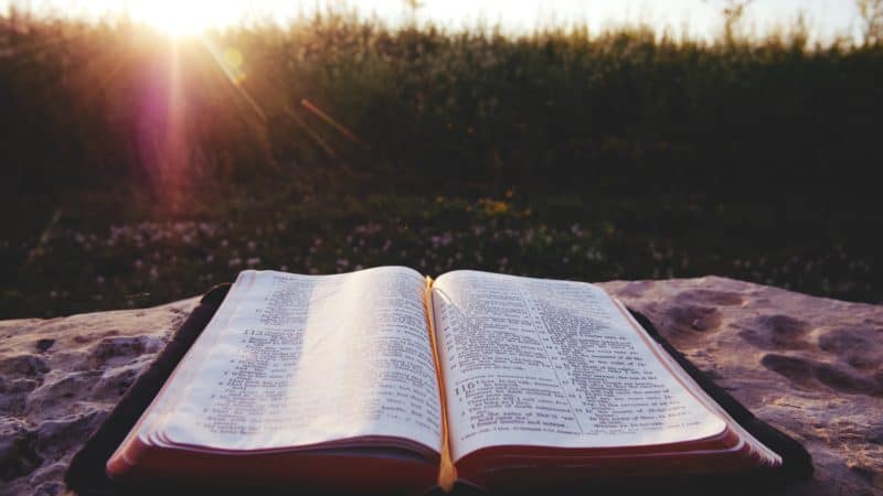 An open Bible on a rock with the sun shining behind.