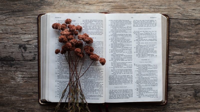 La Biblia abierta en el libro de Isaías con flores, como estudiamos acerca el fin del pecado y de la muerte para siempre