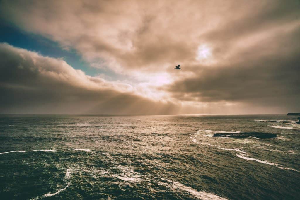 A bird flying over the ocean with the sun shining through the clouds.