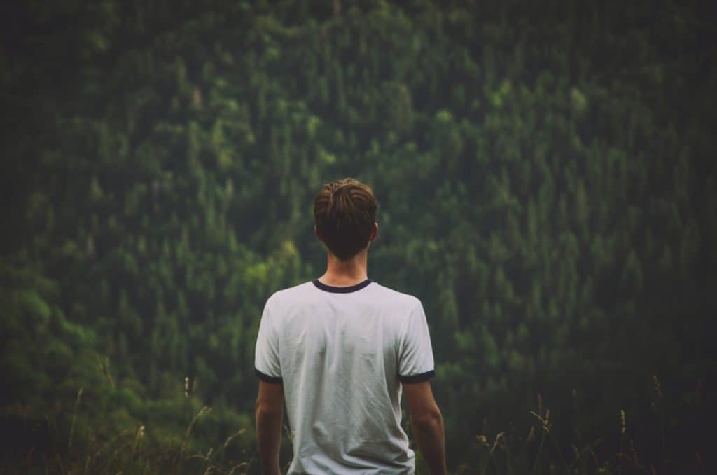 A man looking out over a forest.