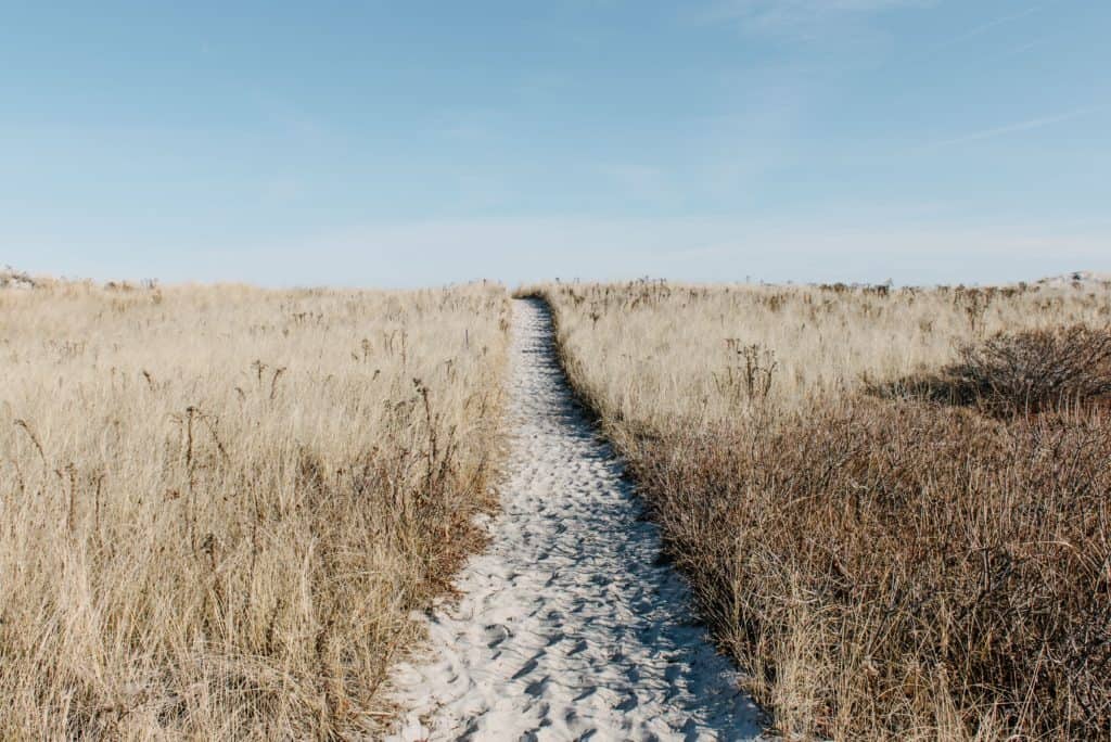 A sandy path going up a hill. 