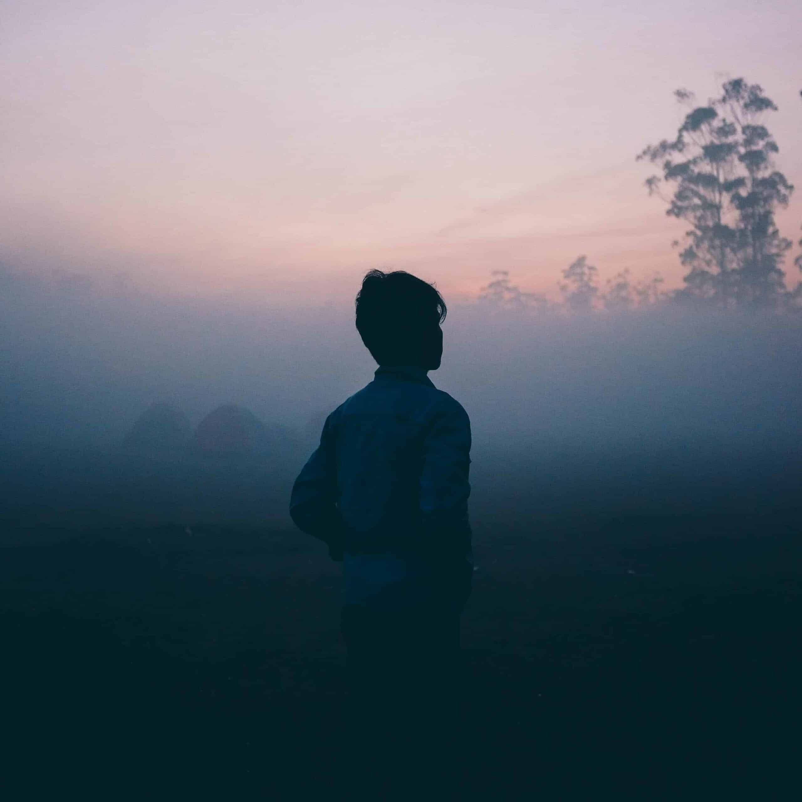 A person standing in a field on a  misty morning.
