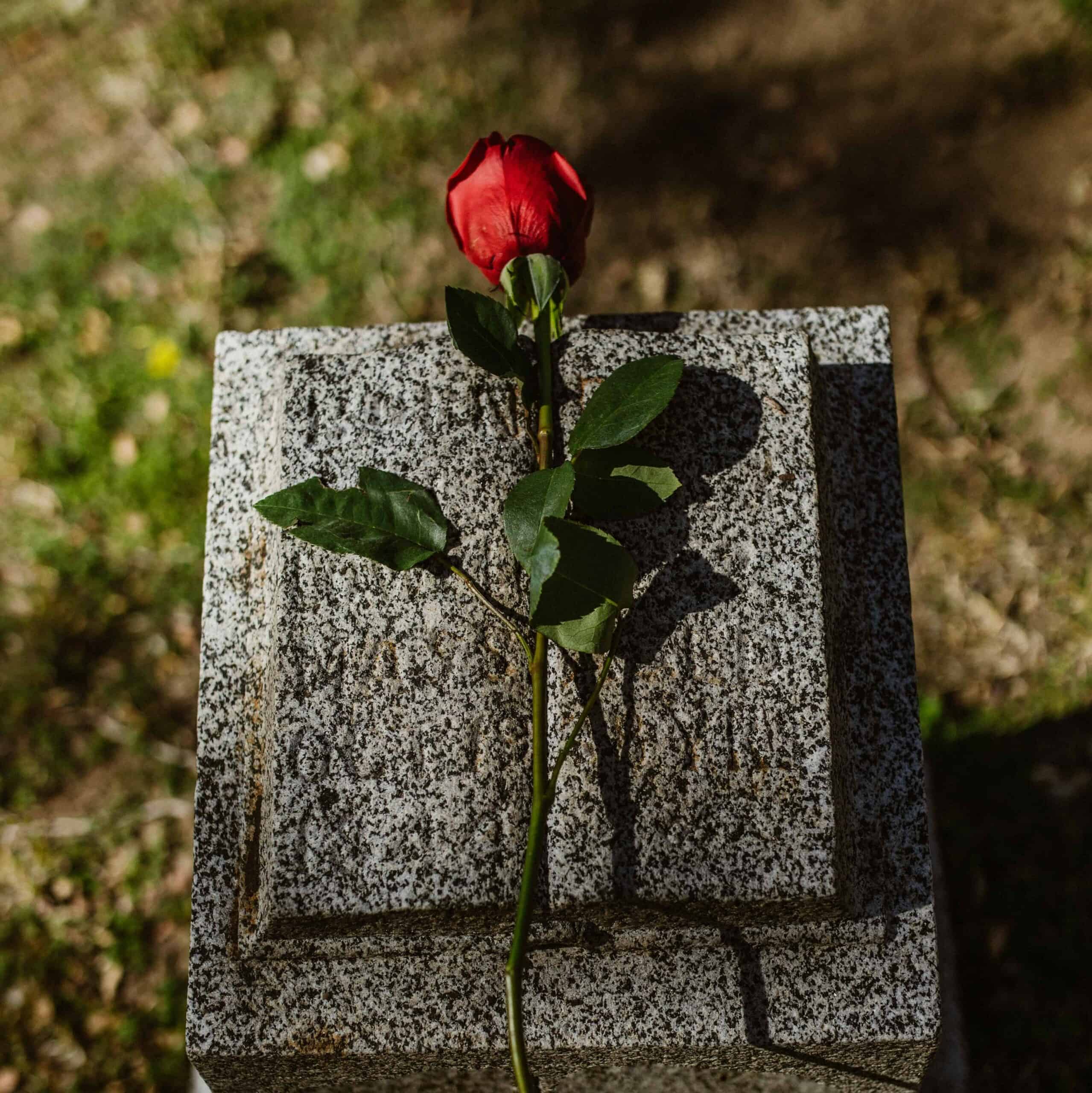 A rose laying on a headstone.