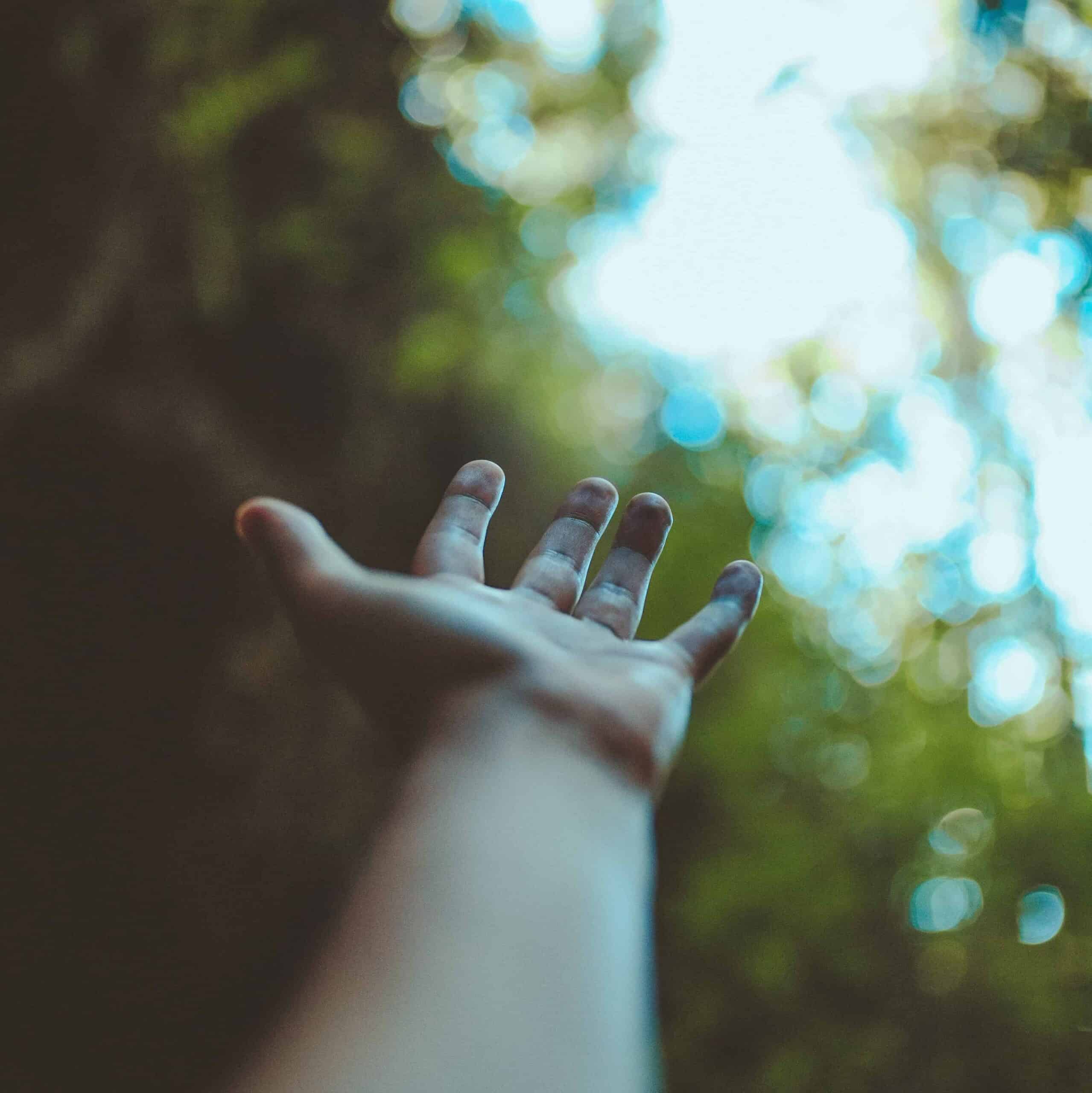 A hand reaching towards the sky.