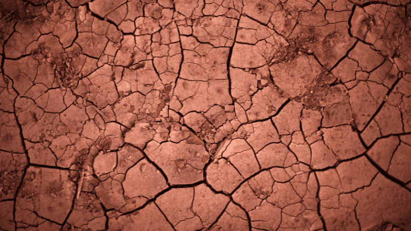Dry clay dirt, full of cracks.