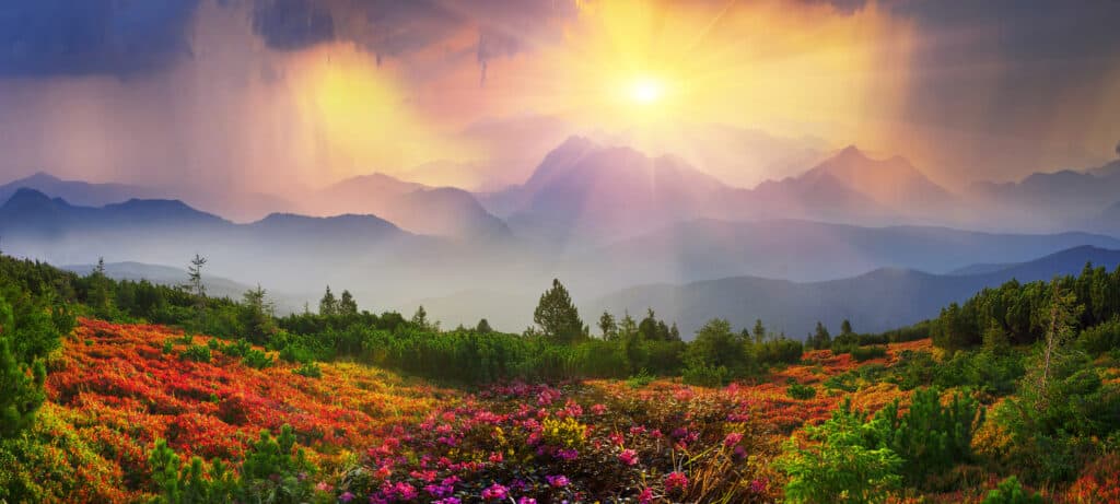 Colorful open scape with the mountains in the back ground.