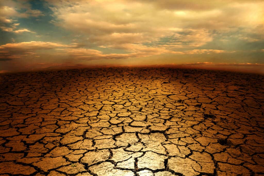 A dry cracked desert landscape.