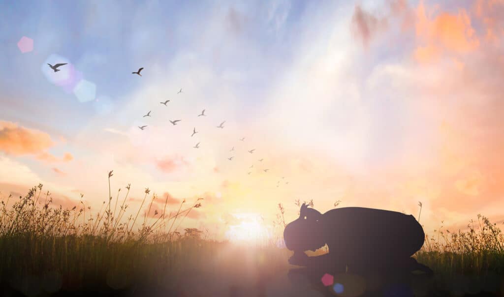 Woman kneeling down in prayer in a field, as the sun shines bright.