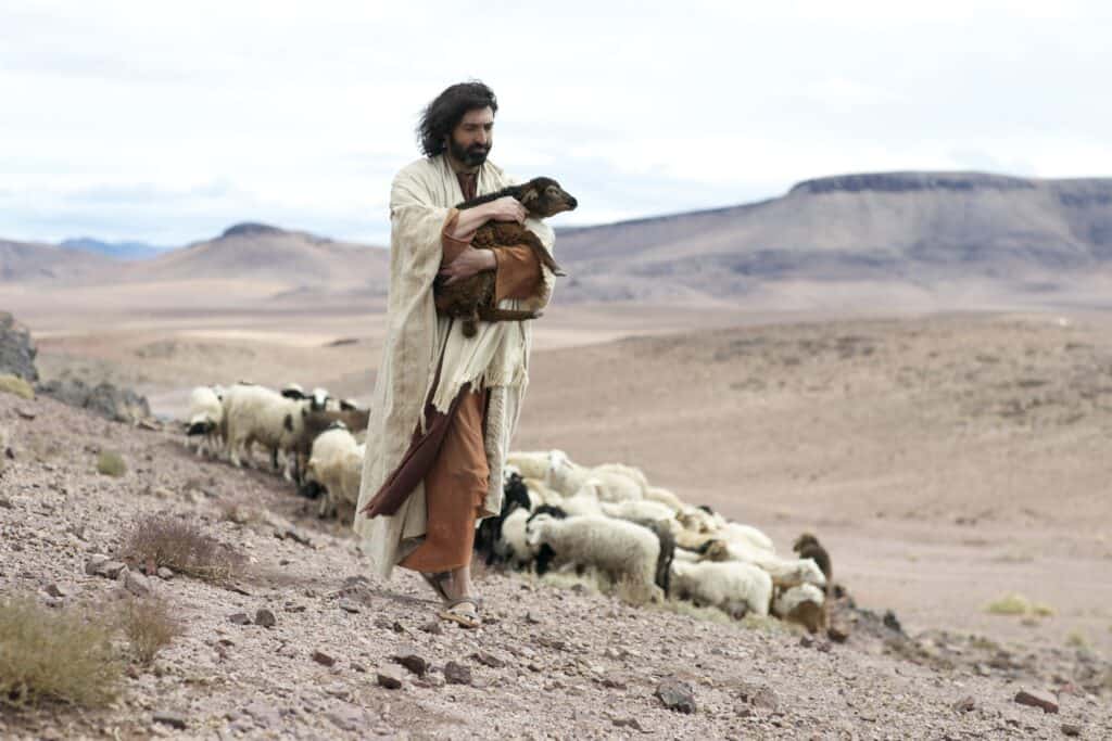 Jesus holding a little lamb as he walks ahead of the flock leading them